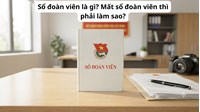 Sổ đoàn viên là gì? Mất sổ đoàn viên thì phải làm sao?