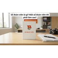 Sổ đoàn viên là gì? Mất sổ đoàn viên thì phải làm sao?