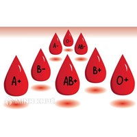 Các loại nhóm máu và nguyên tắc truyền máu cơ bản
