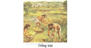 Ý nghĩa của việc trồng trọt và chăn nuôi là gì? Lịch sử lớp 6