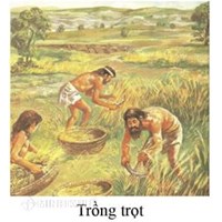 Ý nghĩa của việc trồng trọt và chăn nuôi là gì? Lịch sử lớp 6