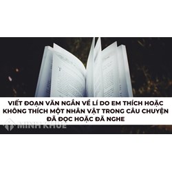Viết đoạn văn ngắn về lí do em thích hoặc không thích một nhân vật trong câu chuyện đã đọc hoặc đã nghe