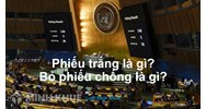 Phiếu trắng là gì? Bỏ phiếu chống là gì?