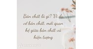 Bản chất là gì? Ví dụ về bản chất? Mối quan hệ bản chất và hiện tượng