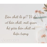 Bản chất là gì? Ví dụ về bản chất? Mối quan hệ bản chất và hiện tượng