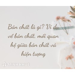 Bản chất là gì? Ví dụ về bản chất? Mối quan hệ bản chất và hiện tượng
