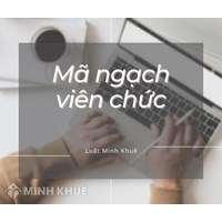 Mã ngạch viên chức là gì? Quy định danh mục mã ngạch viên chức