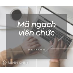 Mã ngạch viên chức là gì? Quy định danh mục mã ngạch viên chức