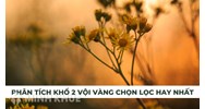 Phân tích khổ 2 bài thơ Vội vàng của Xuân Diệu chọn lọc hay nhất