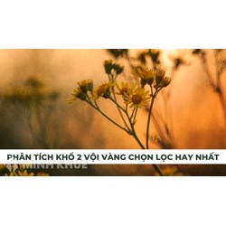 Phân tích khổ 2 bài thơ Vội vàng của Xuân Diệu chọn lọc hay nhất