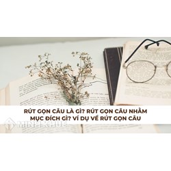 Rút gọn câu là gì? Rút gọn câu nhằm mục đích gì? Ví dụ rút gọn câu