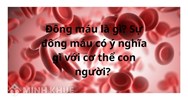 Đông máu là gì? Sự đông máu có ý nghĩa gì với sự sống của cơ thể?