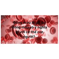 Đông máu là gì? Sự đông máu có ý nghĩa gì với sự sống của cơ thể?