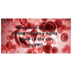 Đông máu là gì? Sự đông máu có ý nghĩa gì với sự sống của cơ thể?
