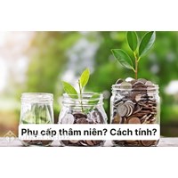 Thâm niên là gì? Phụ cấp thâm niên là gì? Cách tính phụ cấp thâm niên