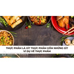 Thực phẩm là gì? Thực phẩm gồm những gì? Ví dụ về thực phẩm