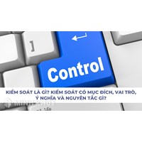 Kiểm soát là gì? Mục đích, vai trò, ý nghĩa, nguyên tắc kiểm soát