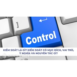 Kiểm soát là gì? Mục đích, vai trò, ý nghĩa, nguyên tắc kiểm soát