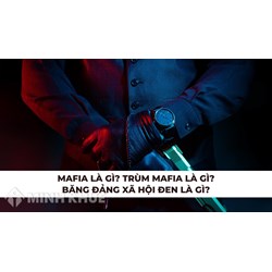 Mafia là gì? Trùm mafia là gì? Băng đảng xã hội đen là gì?