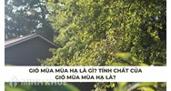 Gió mùa mùa hạ là gì? Tính chất của gió mùa mùa hạ là?