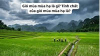 Gió mùa mùa hạ là gì? Tính chất của gió mùa mùa hạ là?