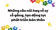 Những câu nói hay về sự cố gắng, nỗ lực, tạo động lực để phát triển bản thân