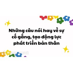 Những câu nói hay về sự cố gắng, nỗ lực, tạo động lực để phát triển bản thân