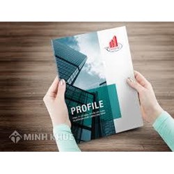 Hồ sơ năng lực tiếng Anh là gì? Capacity profile là gì?