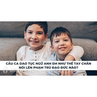 Câu ca dao tục ngữ anh em như thể tay chân nói lên phạm trù đạo đức nào?