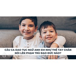 Câu ca dao tục ngữ anh em như thể tay chân nói lên phạm trù đạo đức nào?