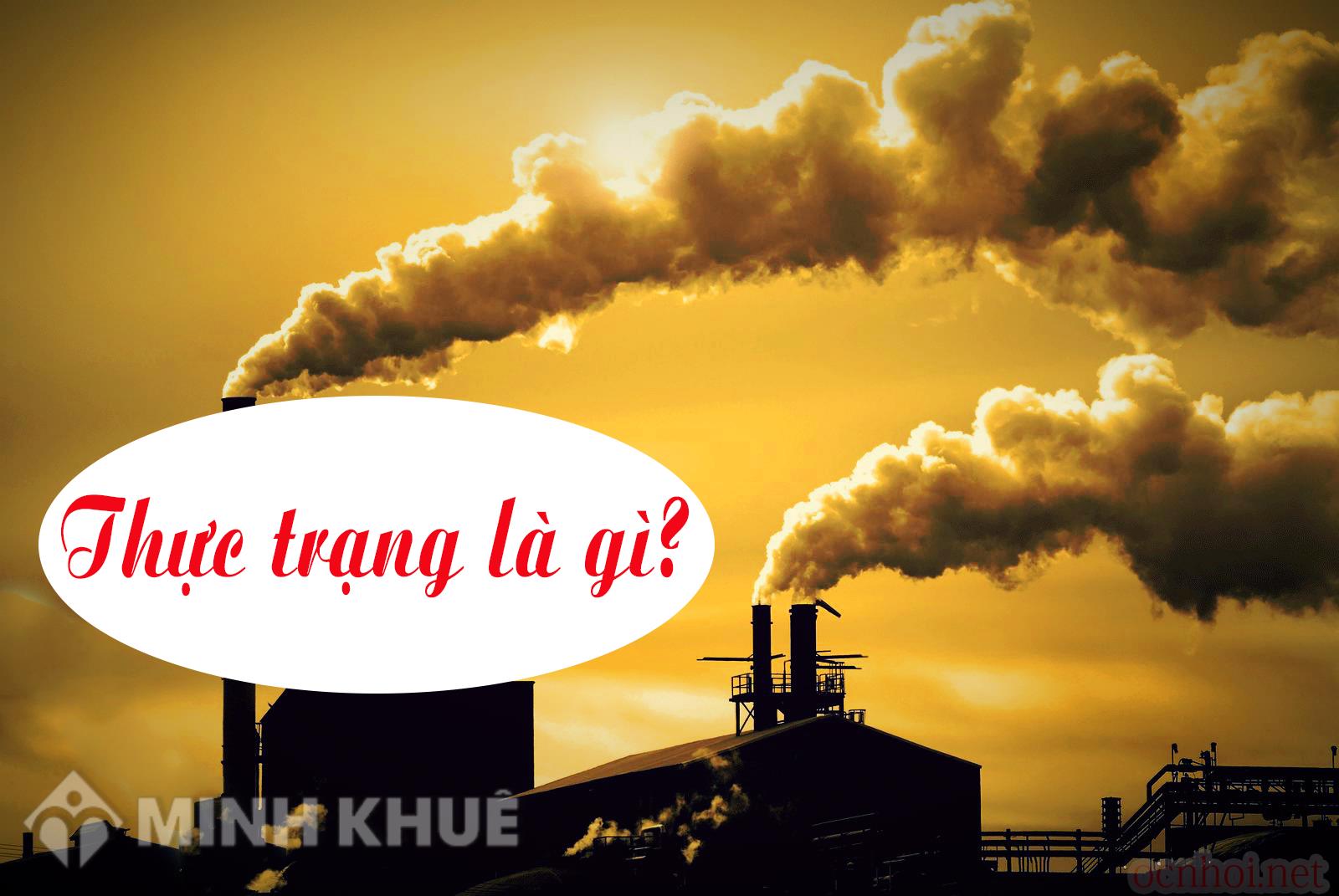 Những loài cá nào hiện nay có khả năng thụ tinh bên ngoài? 
