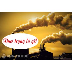 Thực trạng là gì? Thực trạng tiếng Anh là gì? Phân biệt thực trạng và hiện trạng