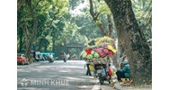Soạn bài thơ Cảm xúc mùa thu (Thu hứng) của Đỗ Phủ