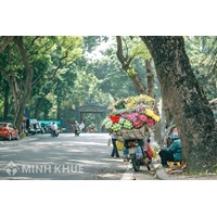 Soạn bài thơ Cảm xúc mùa thu (Thu hứng) của Đỗ Phủ