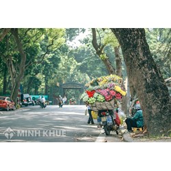 Soạn bài thơ Cảm xúc mùa thu (Thu hứng) của Đỗ Phủ