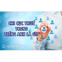 Cơ quan thuế tiếng Anh là gì? Tổng cục, chi cục thuế bằng tiếng anh