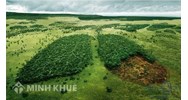 Viết một đoạn văn về đề tài phủ xanh đồi trọc chọn lọc hay nhất