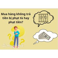 Mua hàng không trả tiền bị phạt tiền hay phạt tù? Tố cáo, kiện ở đâu?