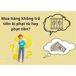 Mua hàng không trả tiền bị phạt tiền hay phạt tù? Tố cáo, kiện ở đâu?