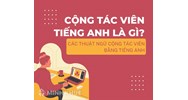 Cộng tác viên tiếng Anh là gì? Các thuật ngữ cộng tác viên bằng tiếng anh