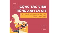 Cộng tác viên tiếng Anh là gì? Các thuật ngữ cộng tác viên bằng tiếng anh