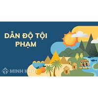 Các trường hợp không bị dẫn độ tội phạm? Việt Nam từ chối dẫn độ tội phạm khi nào?