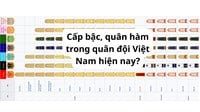 Cấp bậc, quân hàm trong quân đội Việt Nam hiện nay?