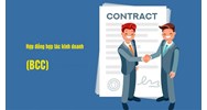 Hợp đồng BCC là gì? Đặc điểm và ví dụ về hợp đồng BCC ở Việt Nam