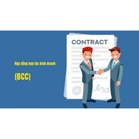 Hợp đồng BCC là gì? Đặc điểm và ví dụ về hợp đồng BCC ở Việt Nam