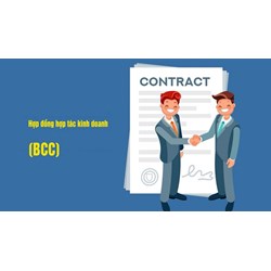 Hợp đồng BCC là gì? Đặc điểm và ví dụ về hợp đồng BCC ở Việt Nam