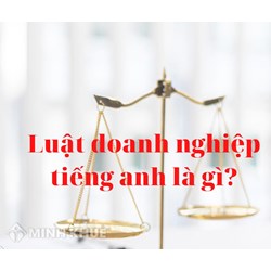 Luật Doanh nghiệp tiếng Anh là gì? Enterprise Law là gì?