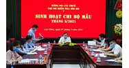 Sinh hoạt chi bộ là gì? Ý nghĩa và Nội dung sinh hoạt chi bộ là gì?