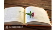 Bản thảo là gì? Có mấy loại bản thảo? Cách trình bày bản thảo?