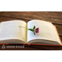 Bản thảo là gì? Có mấy loại bản thảo? Cách trình bày bản thảo?
